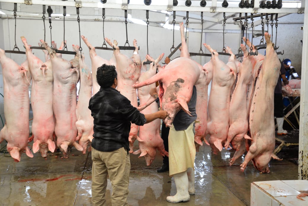 WhatsApp Image 2025-06-24 at 1.11.16 PM