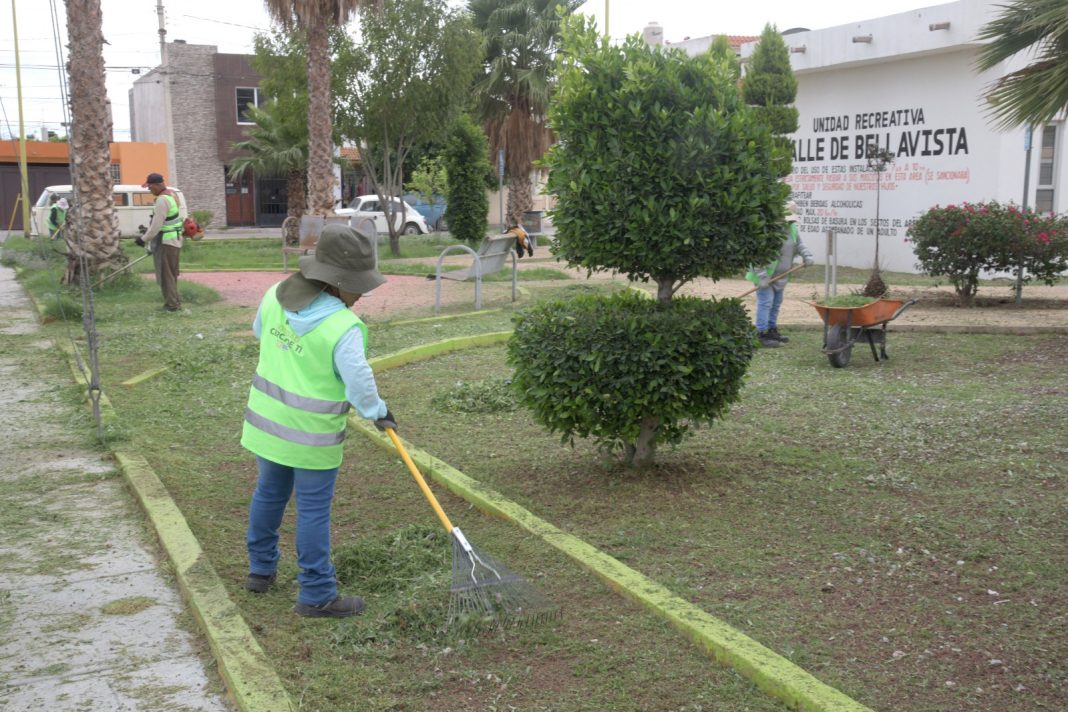 WhatsApp Image 2025-06-26 at 12.24.01 PM