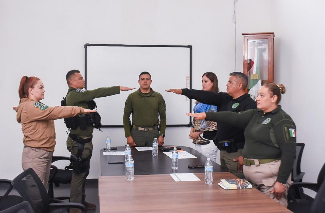 WhatsApp Image 2025-06-26 at 3.26.15 PM (2)