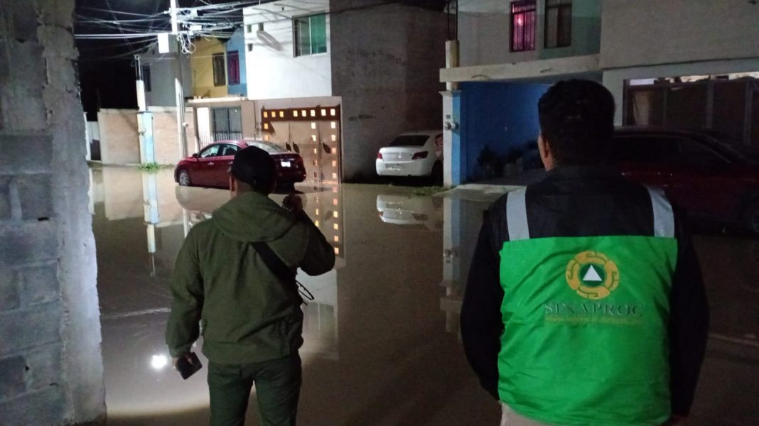 WhatsApp Image 2025-06-30 at 2.37.25 PM (1)