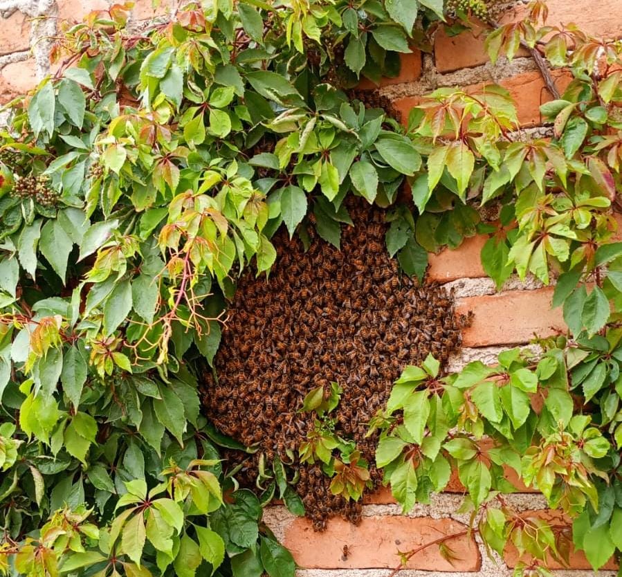 WhatsApp Image 2025-07-07 at 2.52.20 PM