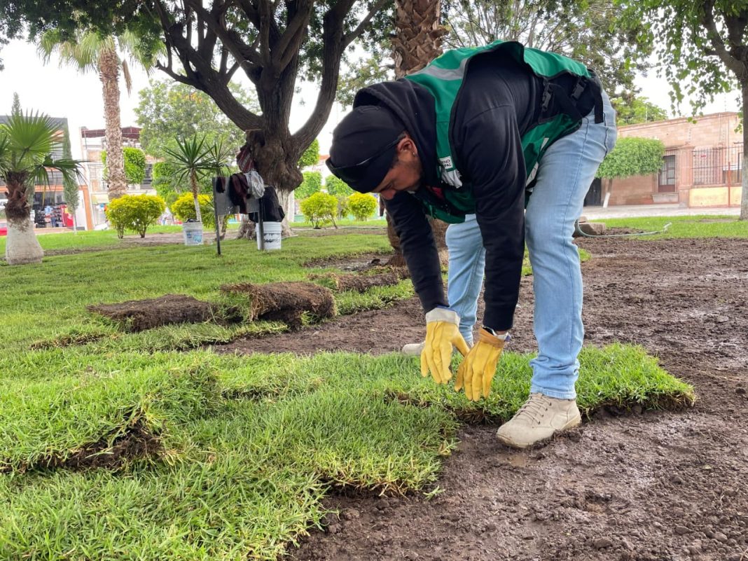 WhatsApp Image 2025-07-12 at 1.11.26 PM