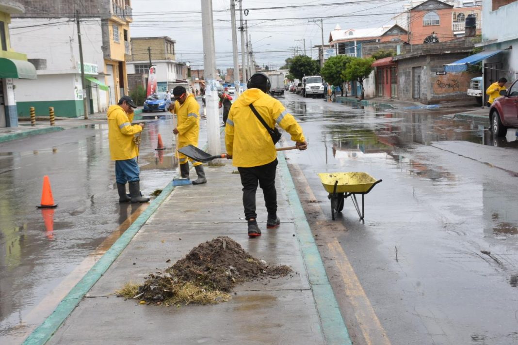 WhatsApp Image 2025-07-18 at 3.12.19 PM