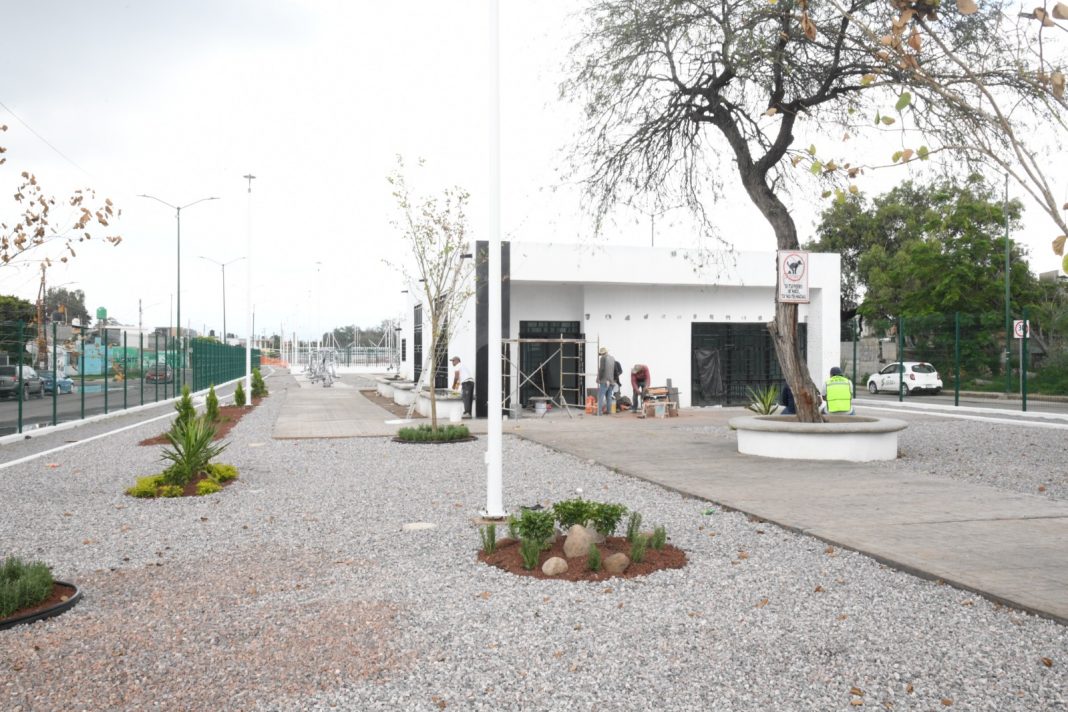 WhatsApp Image 2025-07-19 at 12.08.48 PM (1)