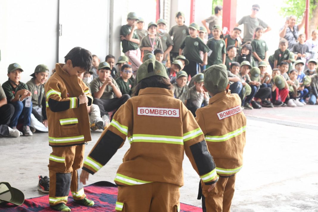 WhatsApp Image 2025-07-24 at 12.00.03 PM (1)