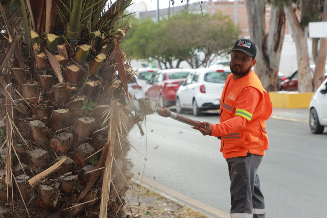 WhatsApp Image 2025-10-28 at 1.07.26 PM