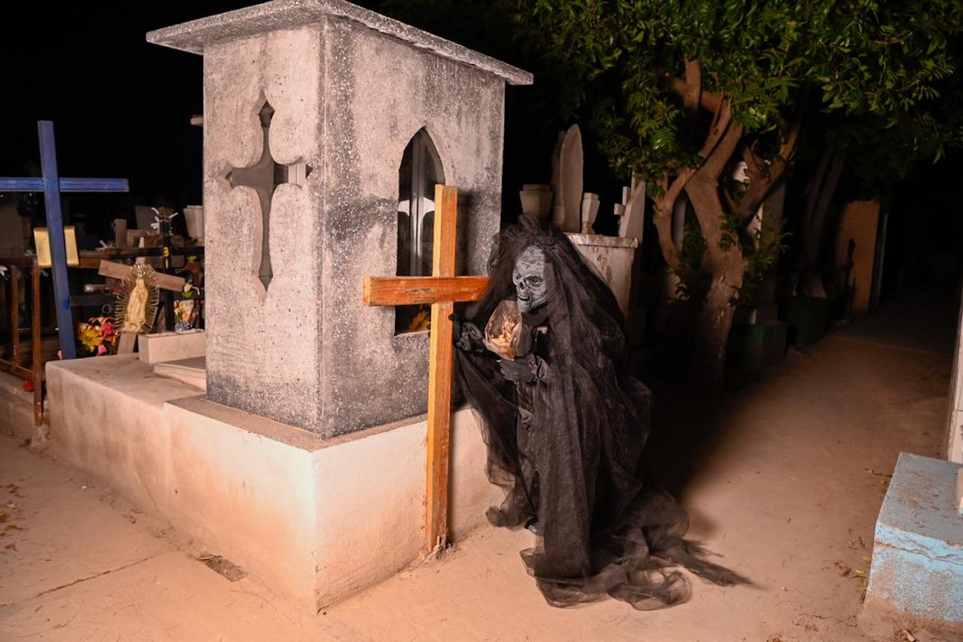 WhatsApp Image 2025-10-30 at 11.47.40 AM