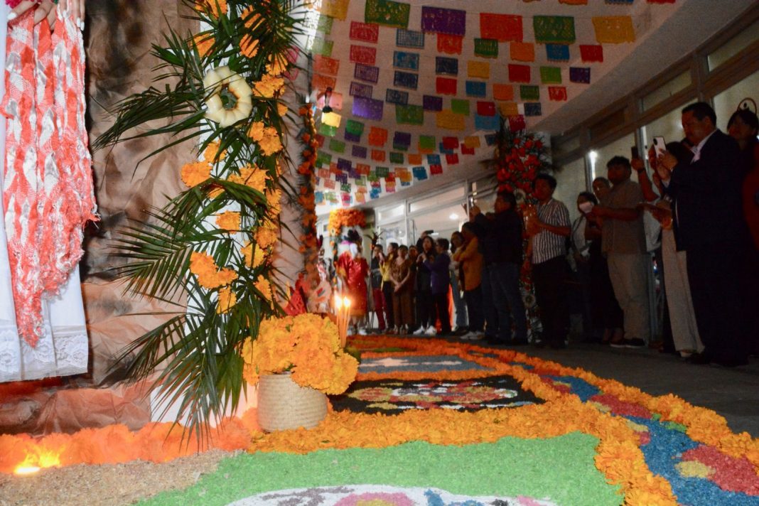 WhatsApp Image 2025-10-30 at 11.57.09 AM