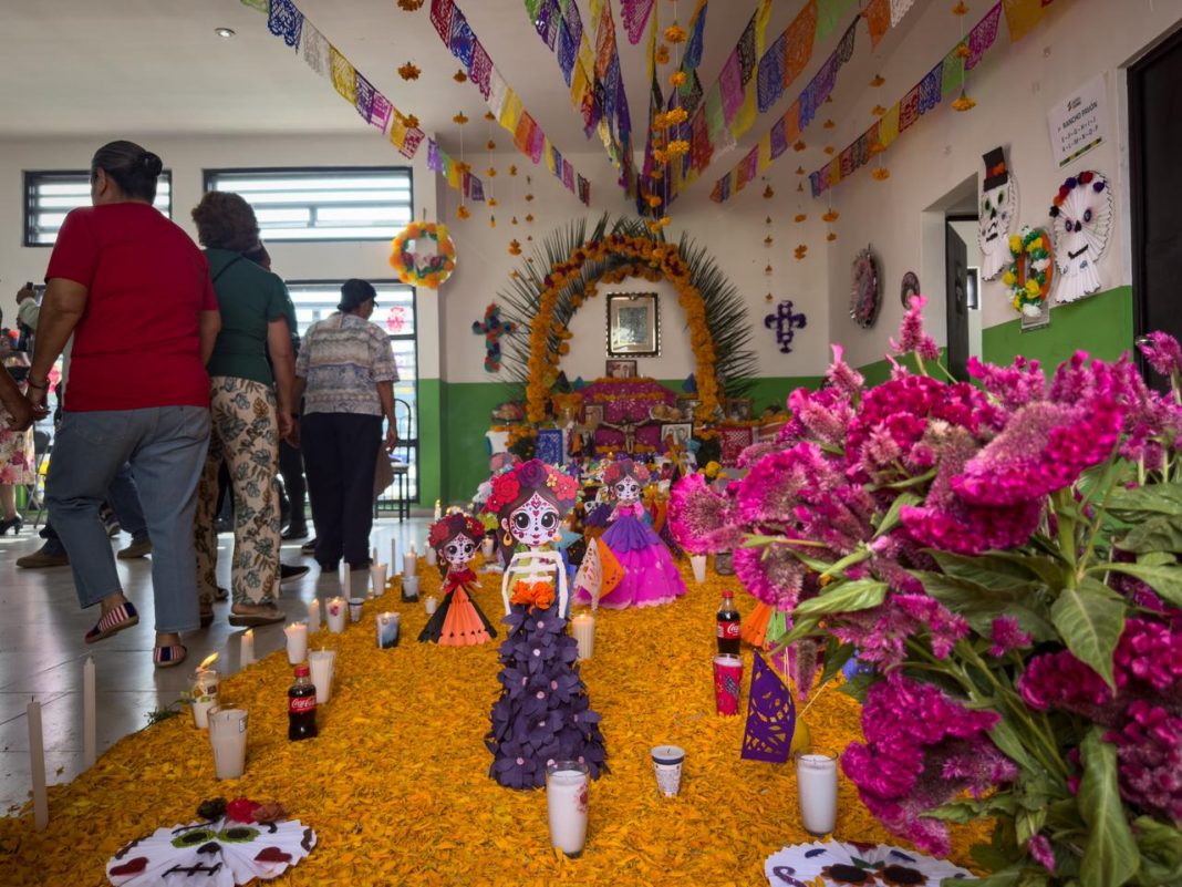 WhatsApp Image 2025-10-31 at 1.12.40 PM